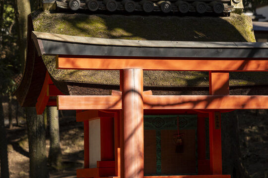 View of a traditional vermilion Shinto shrine with a moss-covered thatched roof and wooden pillars in a forest setting Nara, Nara, Japan.