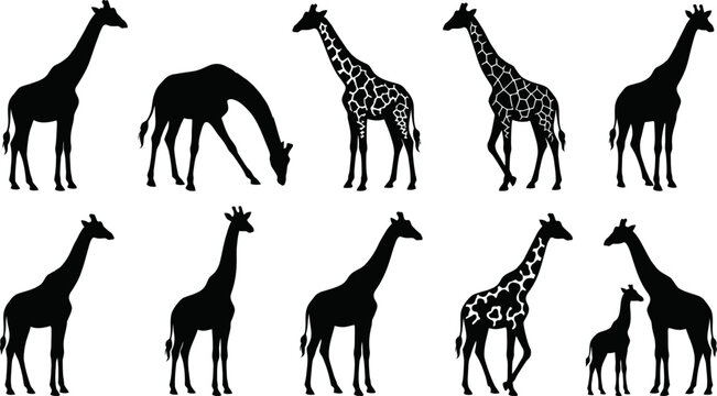 Giraffe silhouettes in various poses on white background