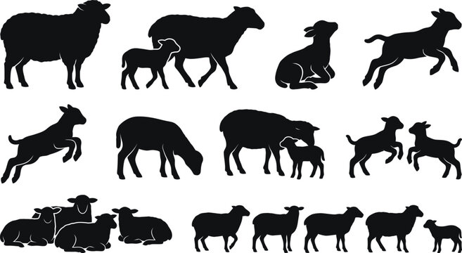 Collection of sheep and goats in various poses and actions silhouettes