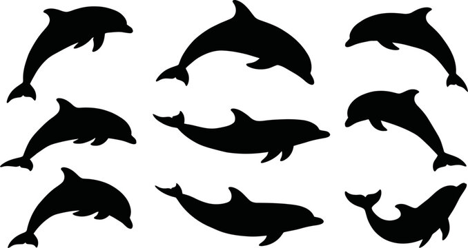 Set of black dolphin silhouettes in different swimming positions on white background
