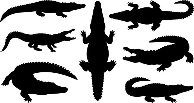 Seven black silhouettes of crocodiles in different poses on white background