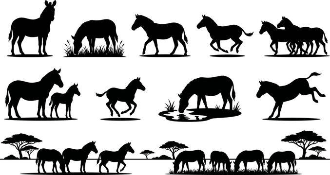 Silhouette of horses and donkeys in various poses on white background