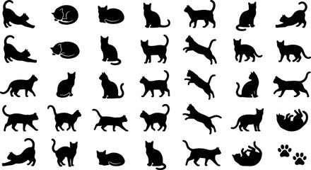 Obraz premium Collection of cat silhouettes in various poses and movements on white background