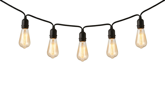 Warm string lights with edison bulbs on black cord isolated on transparent background