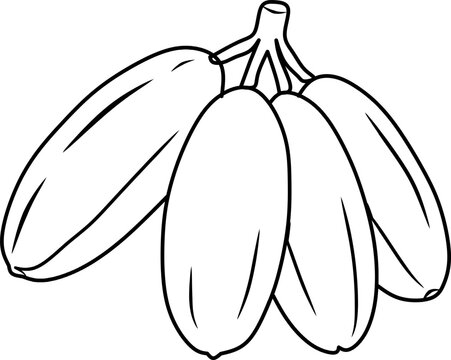 Simple bilimbi fruit line art vector illustration featuring whole and sliced bilimbi. Perfect for coloring books, educational materials, tropical fruit themes, and printable projects.