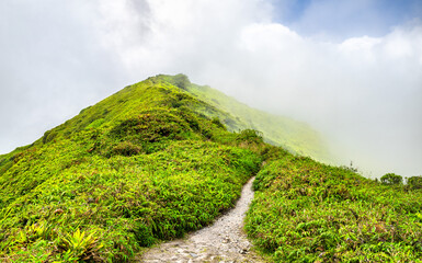 Fototapeta premium Lush green hiking trail along the ridge of Mount Pelee volcano under a cloudy sky in Martinique, Caribbean France