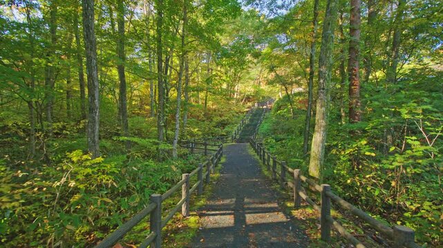 紅葉の名所 秋の鳴子峡の風景　Autumn scenery of Naruko Gorge, a famous spot for autumn foliage.