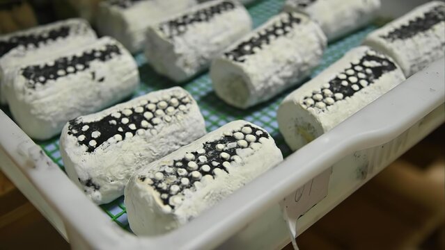 Close-up of rolled sushi with fish roe on rice