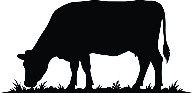 Clean graphic illustration featuring a bold black silhouette of a cow peacefully grazing on a patch of grass, representing farm animals and agricultural themes in a minimalist vector design