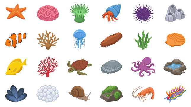 Vector Icons Isometric marine life and coral reef animal icon set. EPS Editable