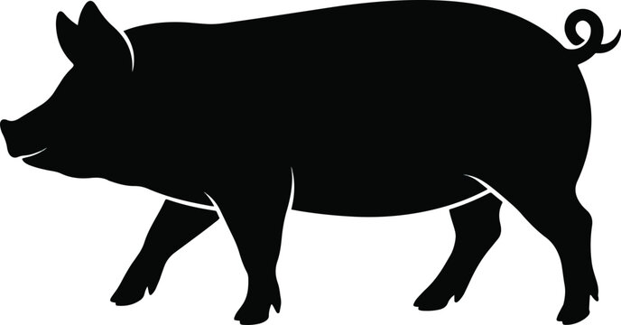 Black pig silhouette side view walking farm animal vector illustration