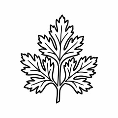 Fototapeta premium Botanical Parsley Leaf Emblem Vector Illustration Simple Line Art Herb Design Element
