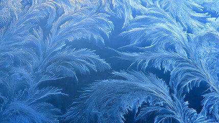 Obraz premium Intricate frost patterns on a cold glass surface, showcasing nature's delicate artistry and beauty in winter.