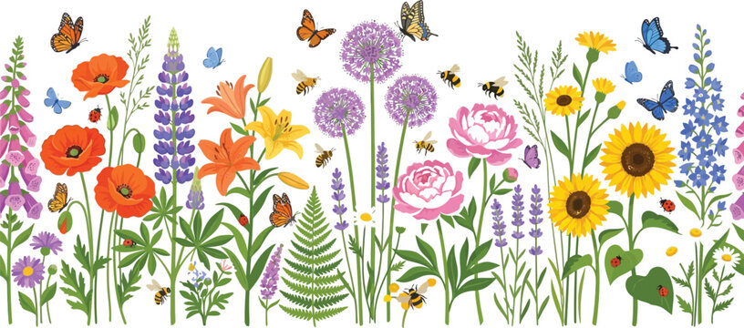 Seamless border of colorful wildflowers with butterflies and bees on white background, vector botanical illustration for design