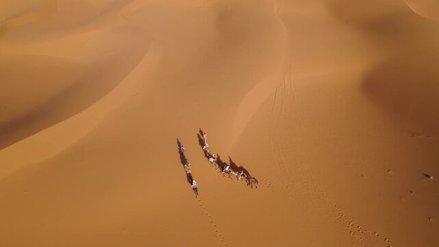 Tourist camel caravan crosses Erg Chebbi near Merzouga, Errachidia Province, Dr&acirc;a-Tafilalet, Morocco, leaving tracks across wind-shaped dunes during a guided Sahara adventure, top down drone tracking