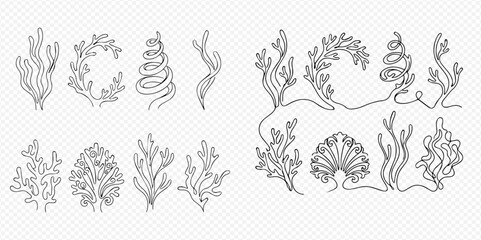 Set of hand-drawn outline seaweeds and corals, isolated on transparent background, for underwater and marine designs. © Lunara Arts