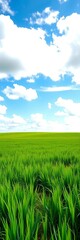 Obraz premium Lush green meadow stretches to the horizon, meeting a brilliant blue sky with white clouds, nature, picturesque