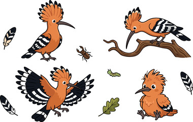 Adorable kawaii hoopoe sticker collection with unique crested bird elements including striped wings feathers insect beetle caterpillar and oak leaf for kids design (24 words) © MdShakib