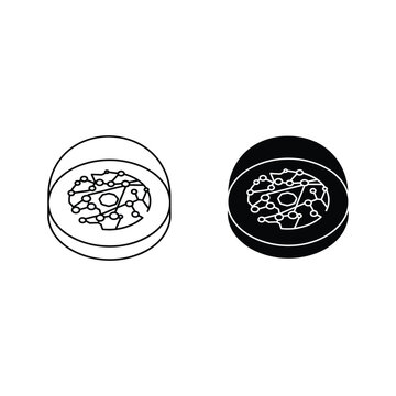 Two petri dishes with bacteria cultures in a laboratory setting petri dish microscope slid