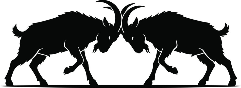 Black silhouette of two rams clashing horns in a competitive battle of strength and dominance