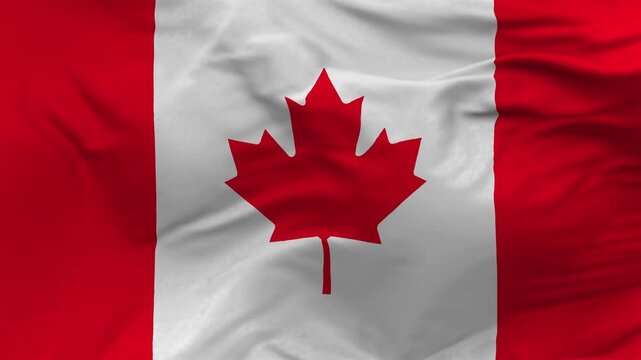 Canada National Flag with Red Maple Leaf on White and Red Background