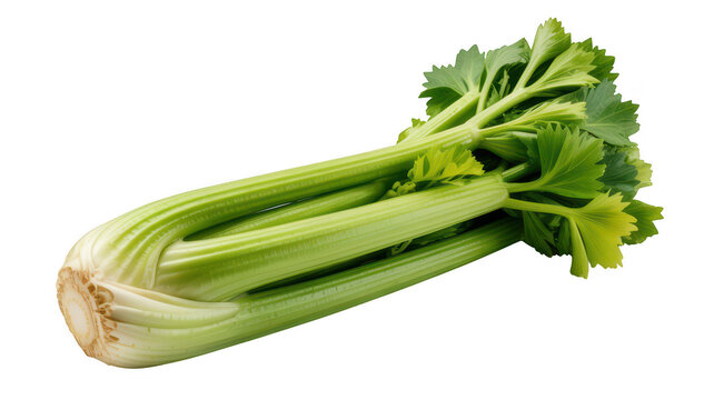 Fresh green celery stalk with vibrant leaves isolated on a solid , showing raw vegetable texture and organic stalk structure