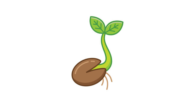 Sprouting seed with green leaves colorful vector illustration on white background