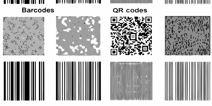 Collection Of Black And White Barcodes And Qr Codes Flat Graphic