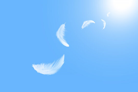 Soft white feathers floating on a blue sky. fluffy downy. symbol of freedom and peace. white clouds and blue sky background. top blue sky heavenly	
