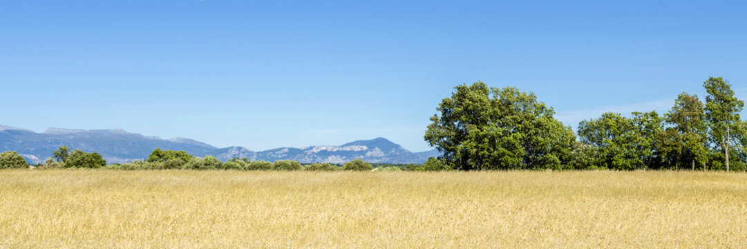 Paysage printanier des Alpes de Haute-Provence