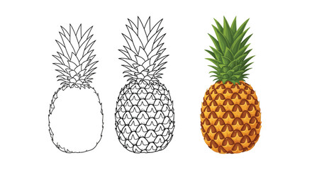 Obraz premium Three pineapple illustrations showing line art sketches and a full color graphic design for creative projects