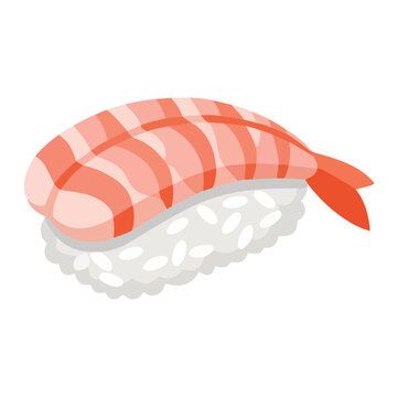 Ebi sushi shrimp nigiri flat vector illustration
