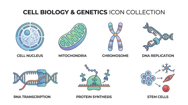 Cell Biology Icon Collection of Core Cellular Components.