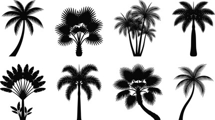 Fototapeta premium Black Silhouette Collection of Eight Tropical Palm Trees Isolated on White Background