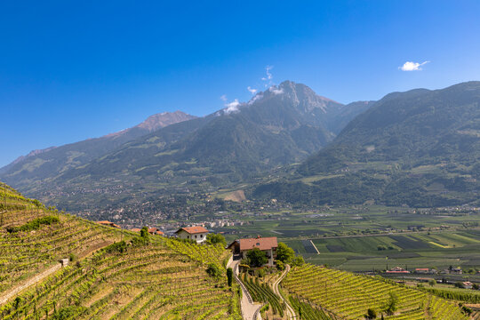 Auf dem Marlinger Waalweg &uuml;ber Meran, S&uuml;dtirol