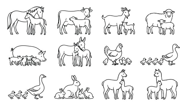 Hand drawn farm animals with babies vector set, minimalist line art livestock collection, cute mother and baby animal illustrations for coloring