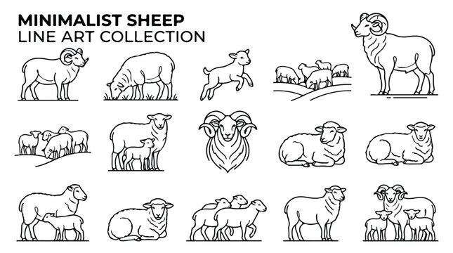 Minimalist sheep line art collection, modern ram and lamb vector icons, simple livestock farm animal illustrations for branding and logo design