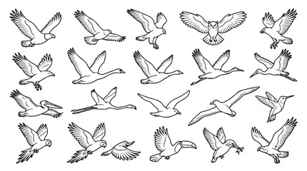 Fototapeta premium Flying birds vector set, black and white bird silhouettes in flight, 20 bird species icons including eagle, swan, and flamingo, wild bird line art