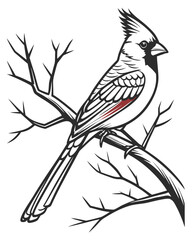Fototapeta premium Cardinal bird perched on a branch, vector illustration