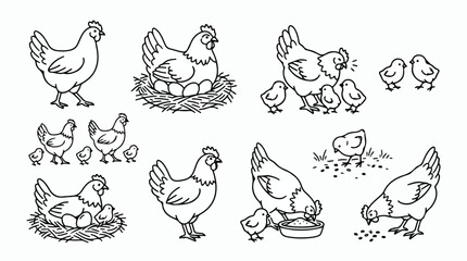 Hand drawn chicken and hen vector set, farm animal line art collection, mother hen with chicks and eggs in nest, rustic poultry illustrations © Shahzad