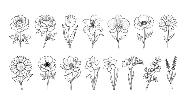 Minimalist floral line art collection, set of 14 botanical flower sketches, black and white garden blossoms vector icons for wedding stationery