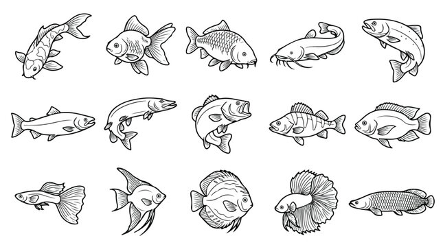Vintage fish illustration set, 15 hand drawn aquatic species icons, black and white line art fish collection for seafood menu and fishing design