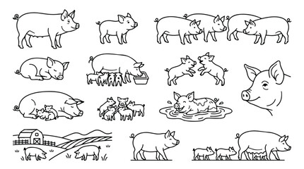 Hand drawn pig vector illustrations, rustic farm animal line art set, cute pigs and piglets in various poses, minimalist livestock sketches for agricultural design © Noman