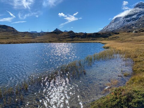 High moor lake Lej Pitschen (Bernina Pass) Canton of Grisons, Switzerland - Hochmoorsee Lej Pitschen (Berninapass) Kanton Graub&uuml;nden, Schweiz