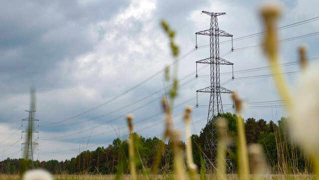 High voltage electrical pylons transporting power lines across a field with a forest in the background under a cloudy sky, representing energy infrastructure and distribution