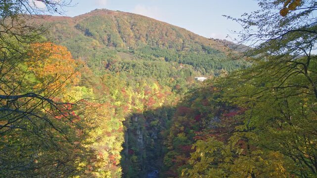 紅葉の名所 秋の鳴子峡の風景　Autumn scenery of Naruko Gorge, a famous spot for autumn foliage.
