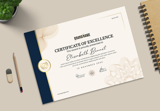 Elegant Certificate of Excellence Design Template