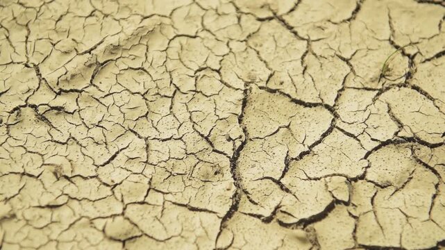 Dry cracked ground or mud soil with cracks and fissures during summer heat climate change environmental issue