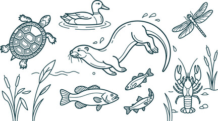 Fototapeta premium Pond and River Wildlife Line Art Vector Set Featuring Otter, Turtle, Duck, Fish, Lobster, and Dragonfly for Nature Conservation and Outdoor Education Designs