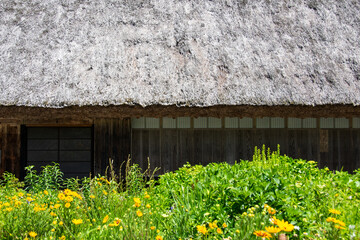 茅葺屋根の家 © Hiro074